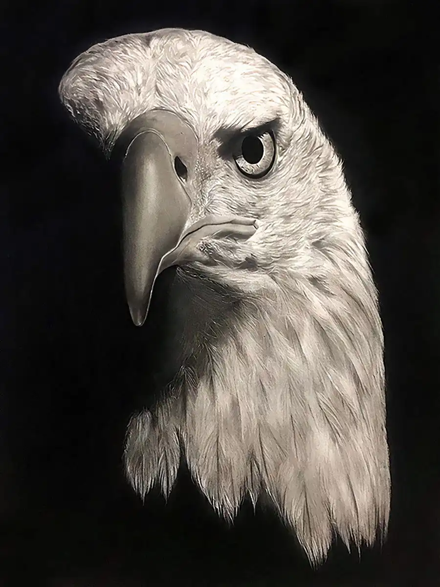 The Watcher